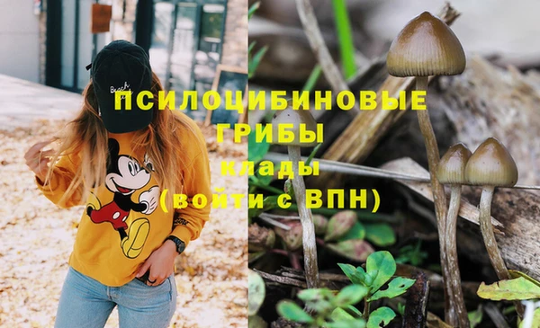 гашик Елабуга
