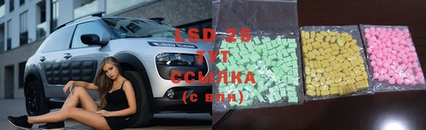 гашик Елабуга