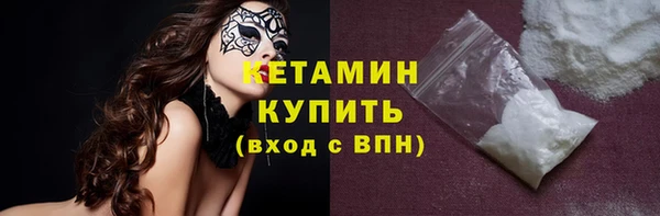 СК Ельня