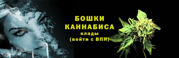 соль ск Елизово