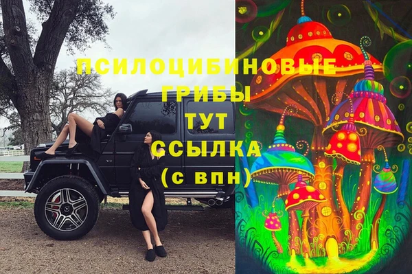 гашик Елабуга