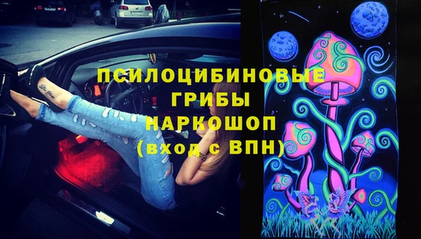 гашик Елабуга
