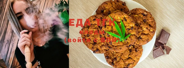 СК Ельня