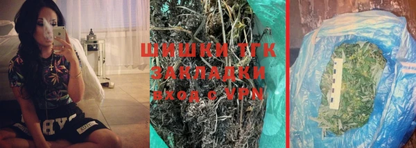 СК Ельня