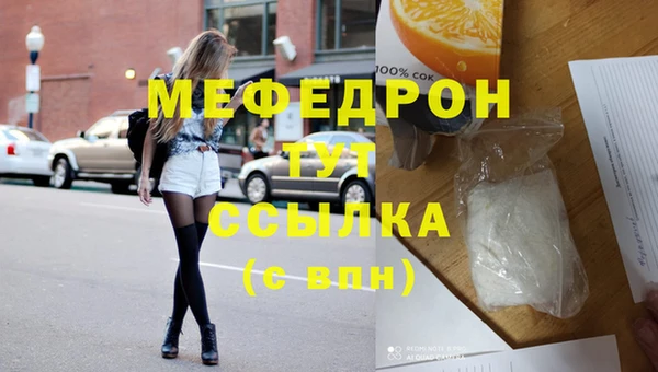 СК Ельня
