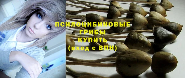 соль ск Елизово