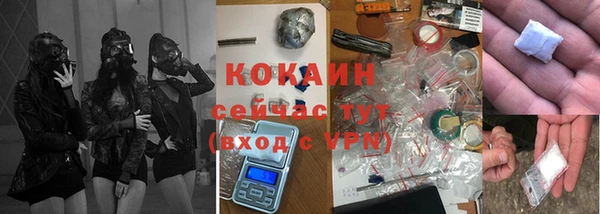 СК Ельня