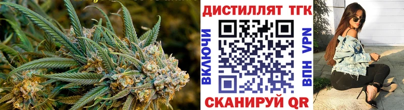 Купить где Безенчук ТГК концентрат
