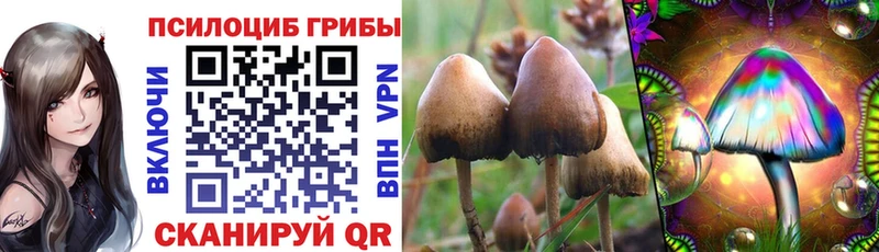 Галлюциногенные грибы прущие грибы  Купить где  Безенчук 