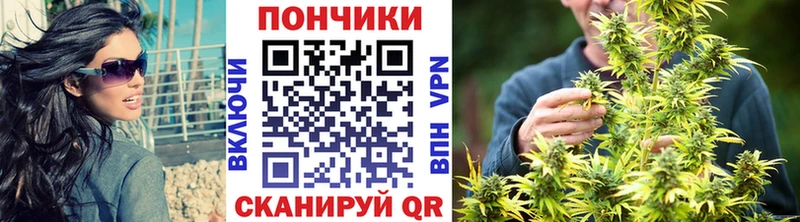 Купить где  Безенчук  Бошки Шишки марихуана 